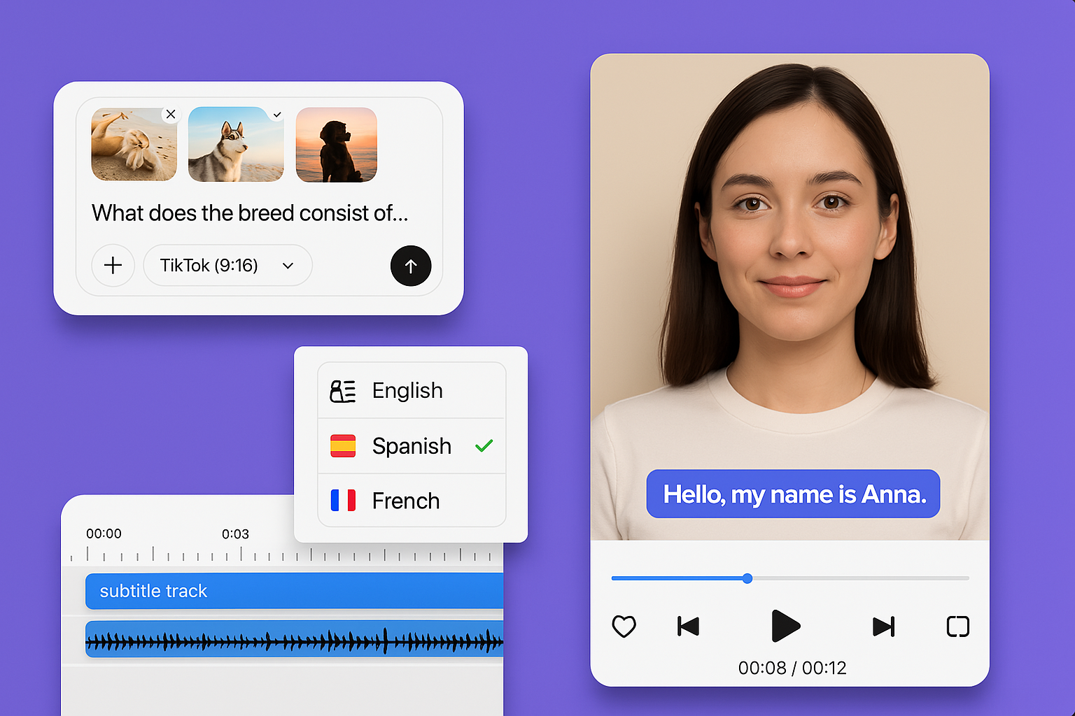 VIDIK AI Video Production Platform Interface